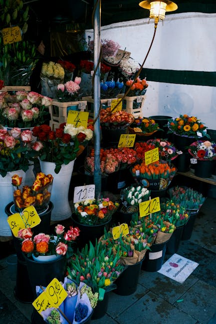 The storefront of Bering Flowers, a flower shop on Kentish Town Road, featuring a dark, elegant facade with gold lettering. The large window display showcases a bright floral arrangement with tropical