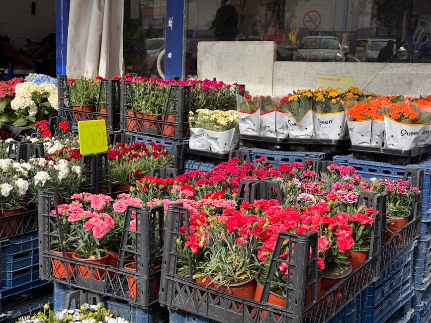 A variety of potted flowers arranged in black plastic crates outside a flower shop, featuring pink, red, white, yellow, and orange blooms. The flowers include carnations and marigolds, with some wrapp
